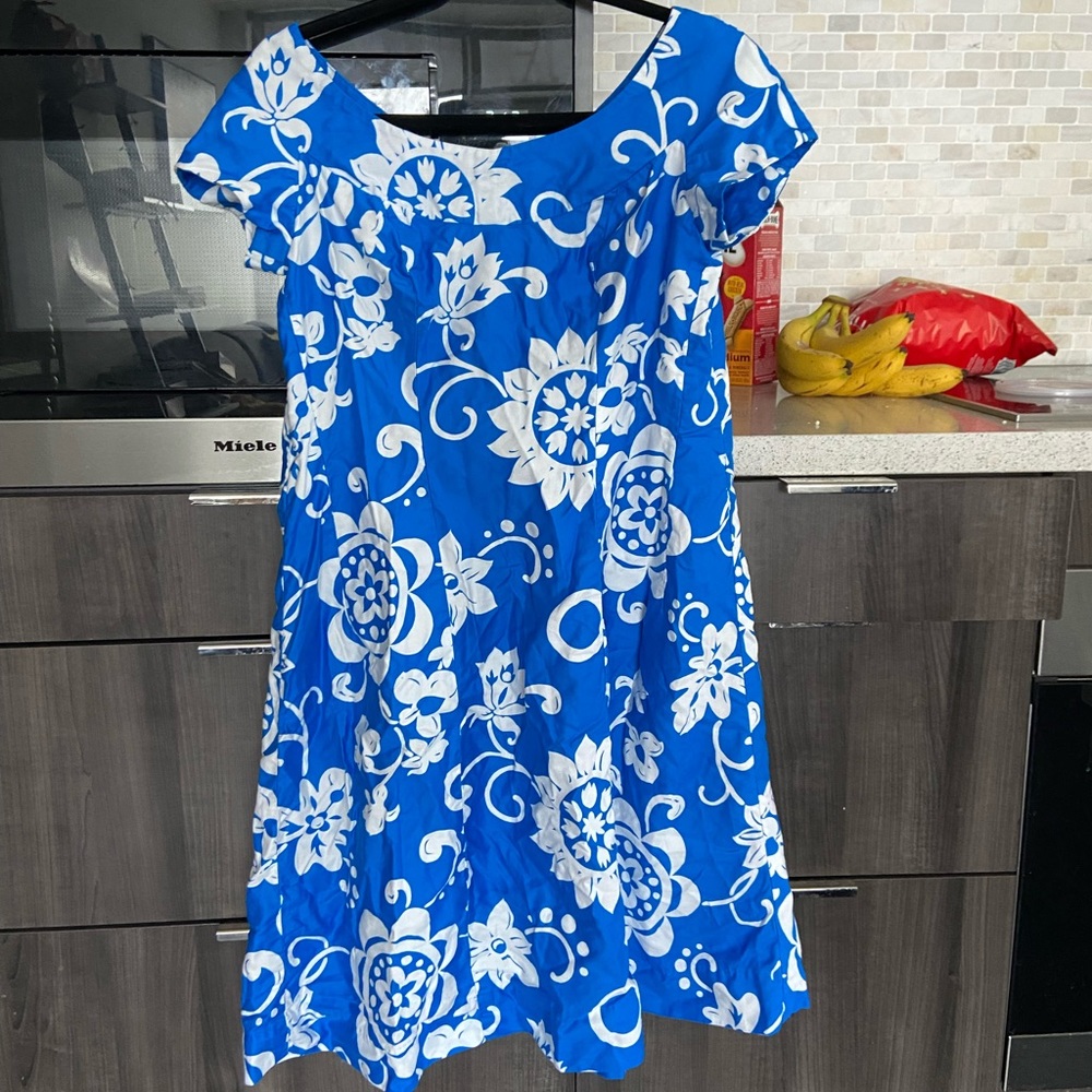 Blue and white dress